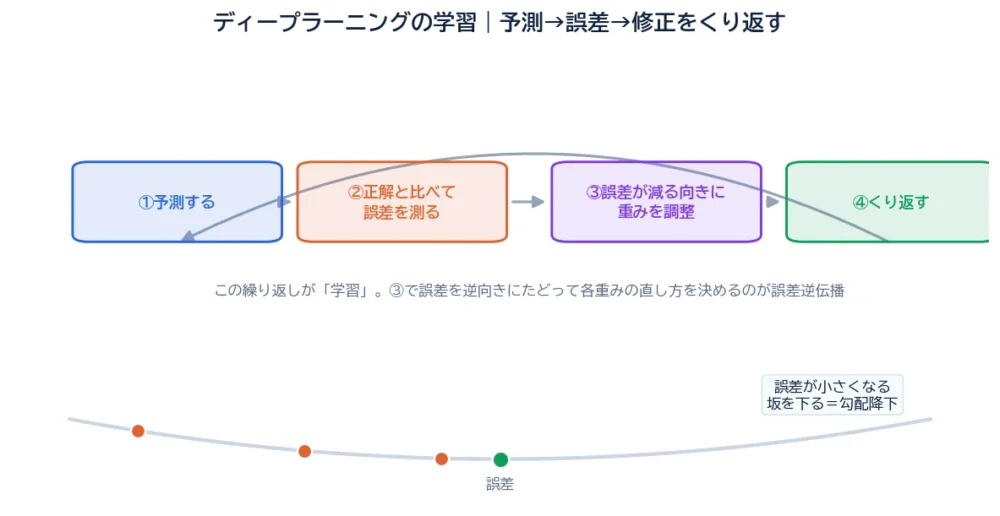 ディープラーニングの学習の図解。予測→誤差を測る→重みを調整→くり返す、の学習ループと、誤差が小さくなる坂を下る勾配降下のイメージ。